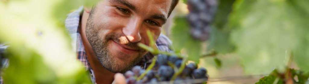 Wine Festivities Start This Week!