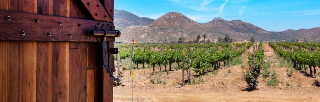 Travel Agencies Present 8-Day Tour of Baja California