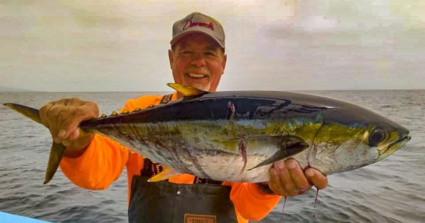 Bertoldo Garcia, fishing with Garcia’s Pangas in San Quintin, managed to find one of the elusive offshore yellowfin tuna.