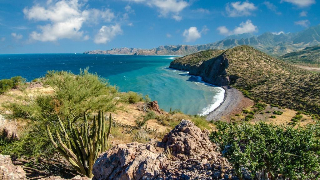 Que Pasa In Baja?