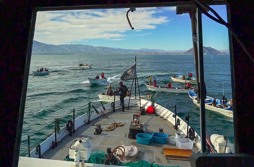 Ecological Patrol Attacked By Fishermen