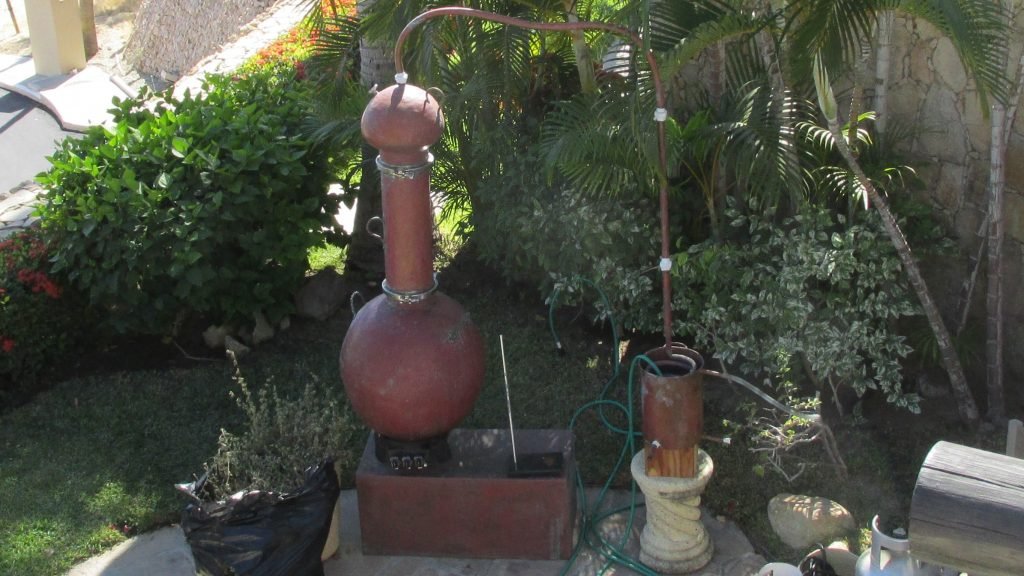 Baja Neighbors Are Different