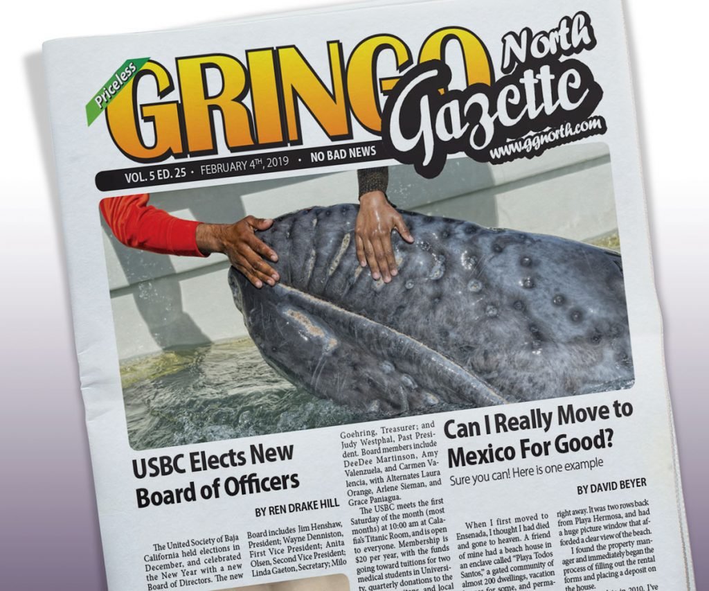 February 4, 2019 Edition