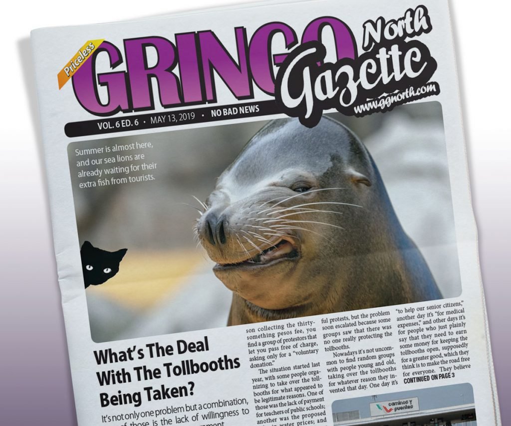 May 13, 2019 Edition