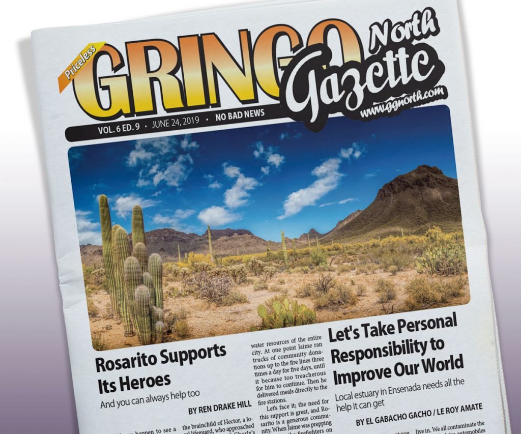 June 24, 2019 Edition