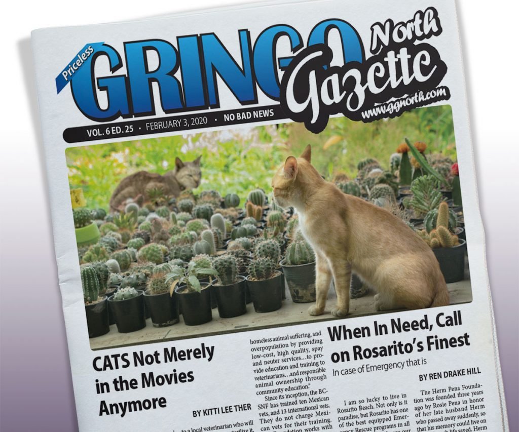 February 3, 2020 Edition