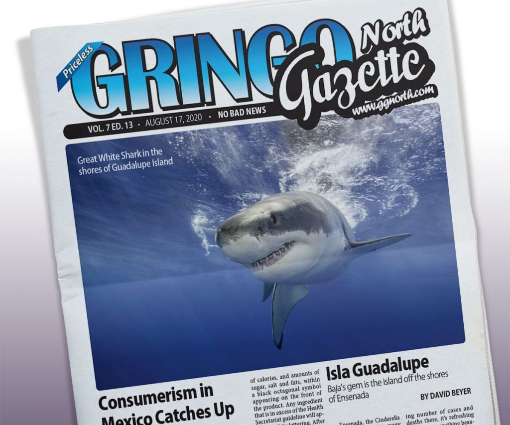 August 18, 2020 Edition
