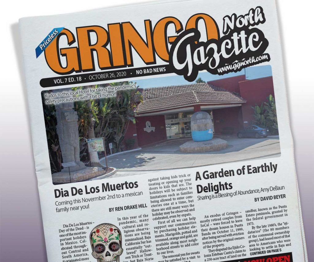 October 28, 2020 Edition