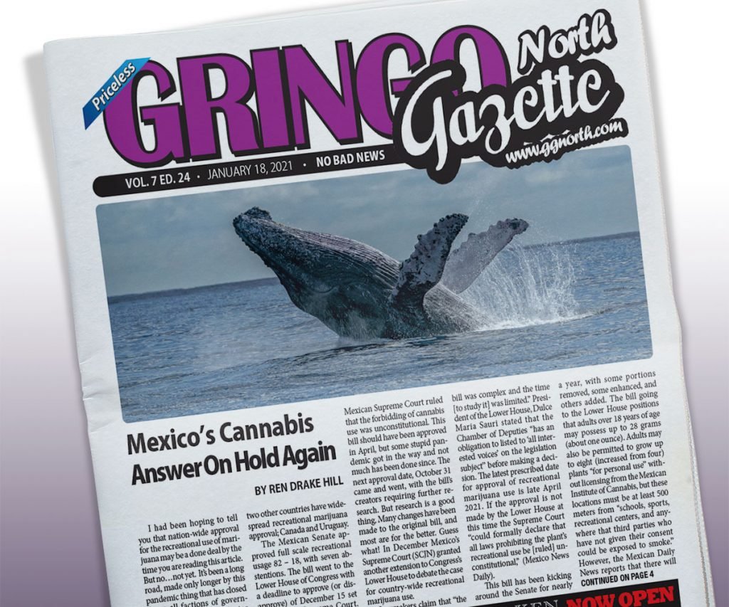 January 18, 2021 Edition