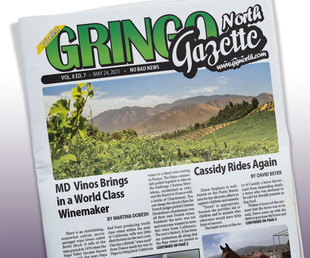 May 24, 2021 Edition