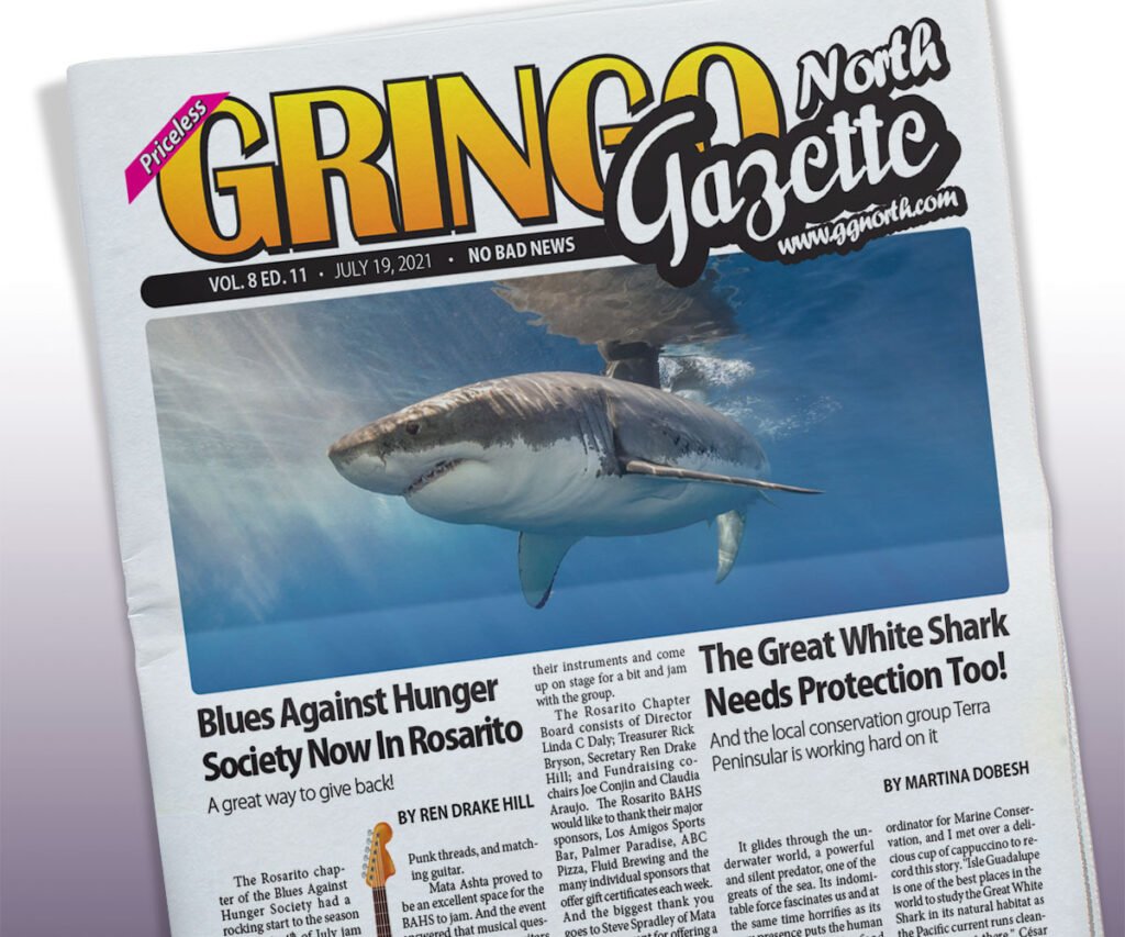July 19, 2021 Edition