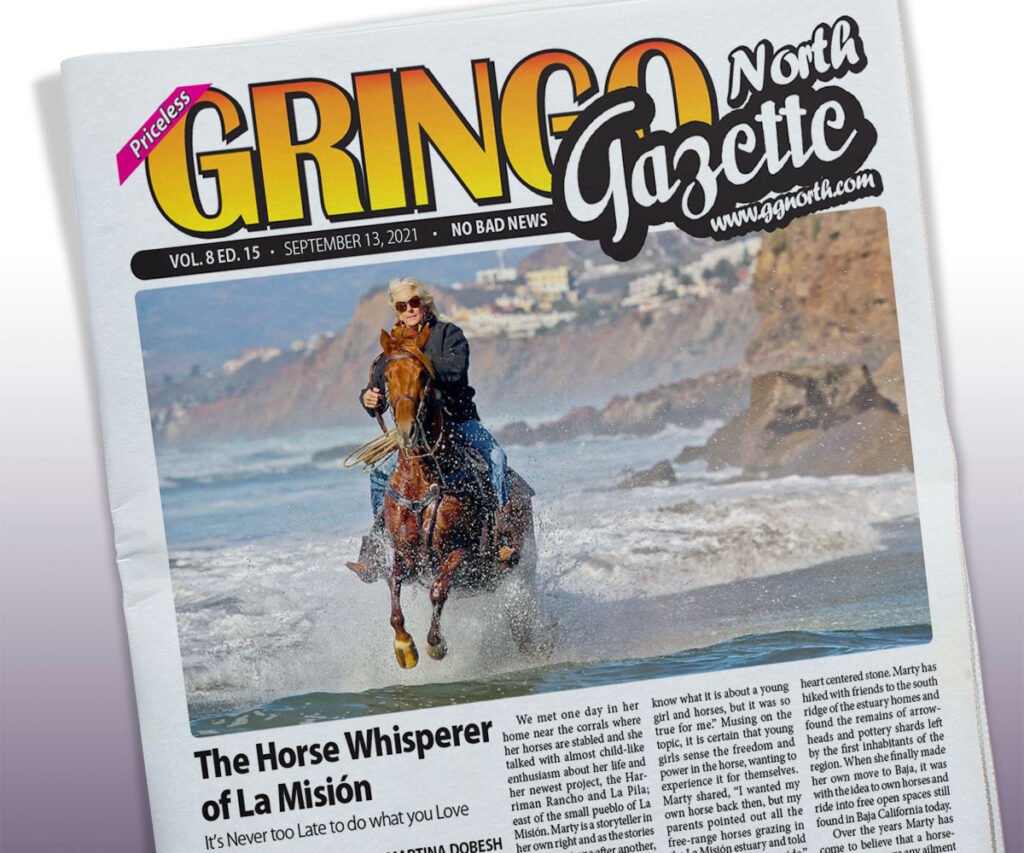 September 13, 2021 Edition