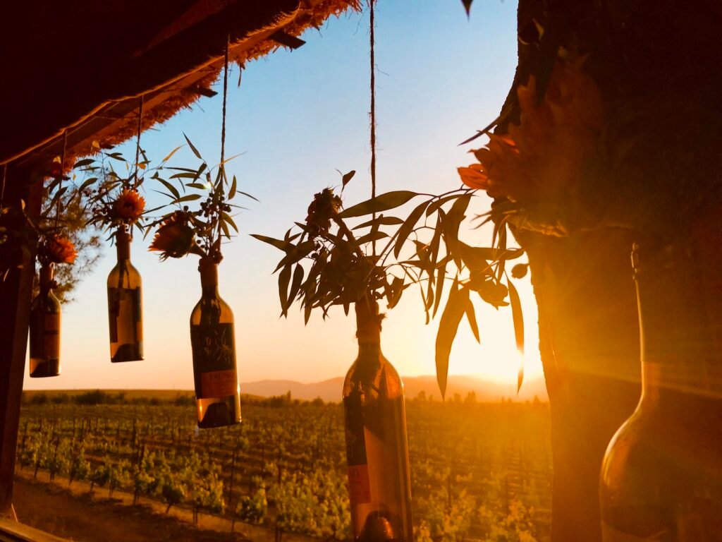 The Wine Country Under Siege, Part 2