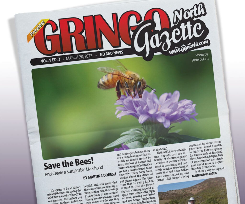 March 28, 2022 Edition