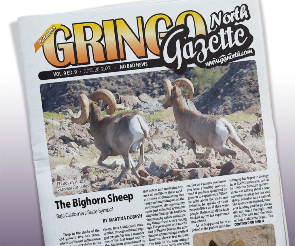 June 20, 2022 Edition