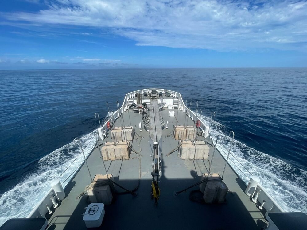 Net Traps Used to Protect the Vaquita