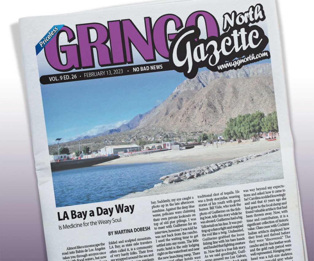 February 13, 2023 Edition