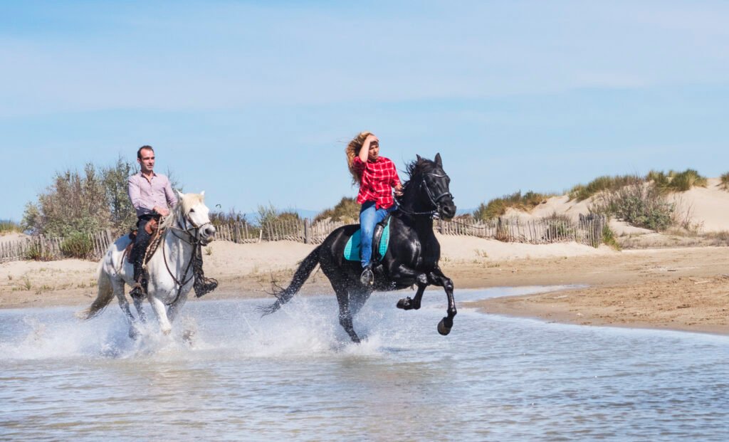 Baja California Starts its Vacation Season
