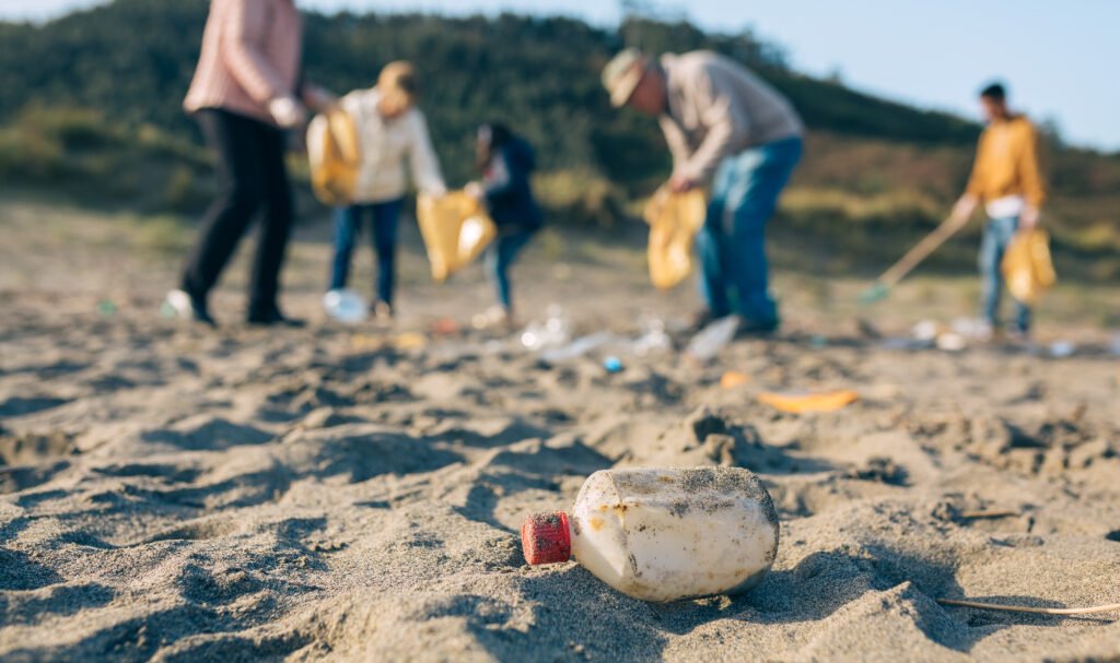 Join Beach Cleaning Efforts in Ensenada