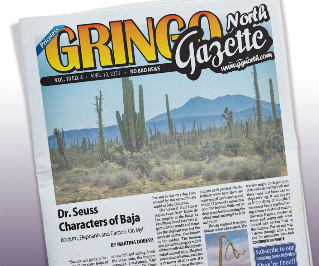 April 10, 2023 Edition