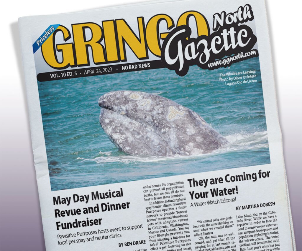 April 24, 2023 Edition