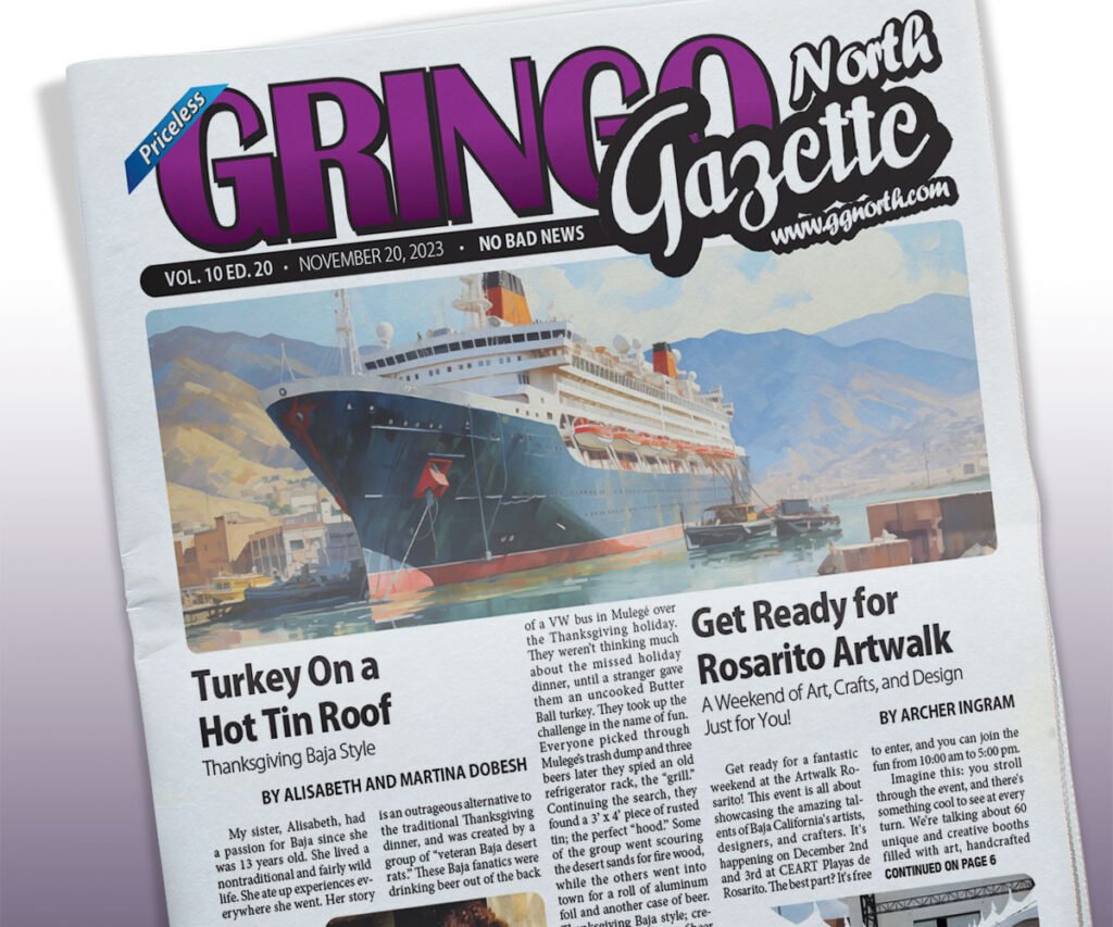 November 20, 2023 Edition