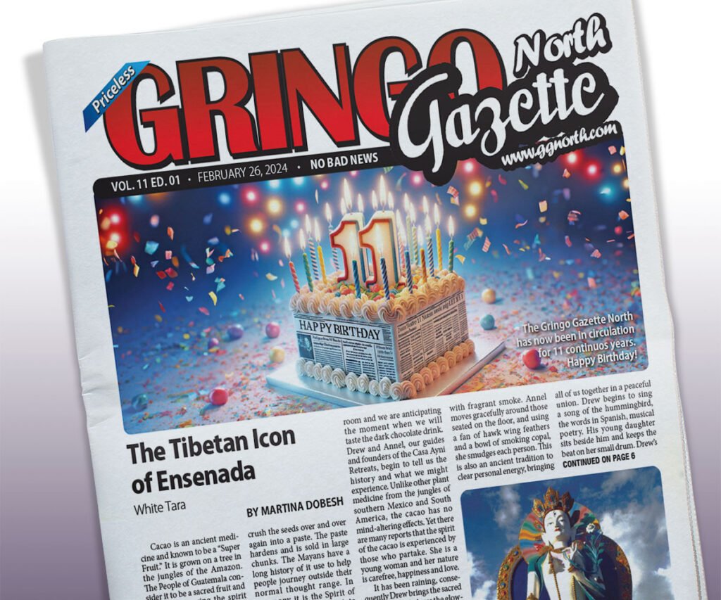 February 26, 2024 Edition