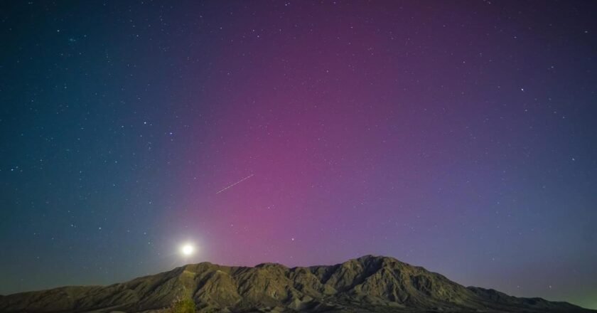Photo by: Medina Gorosave, Mexicali