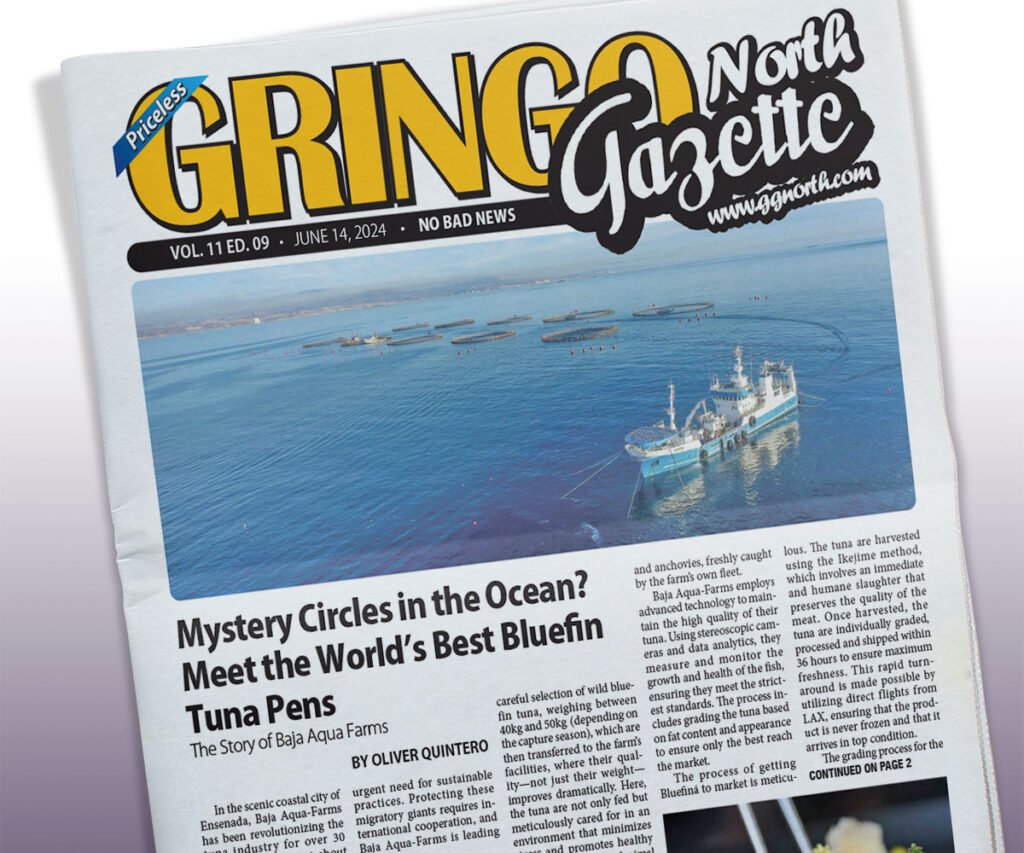 June 17, 2024 Edition