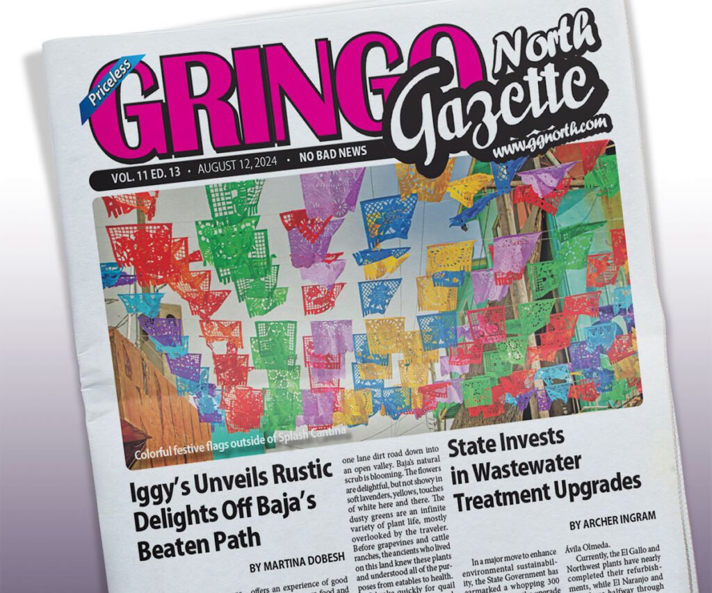 August 12, 2024 Edition