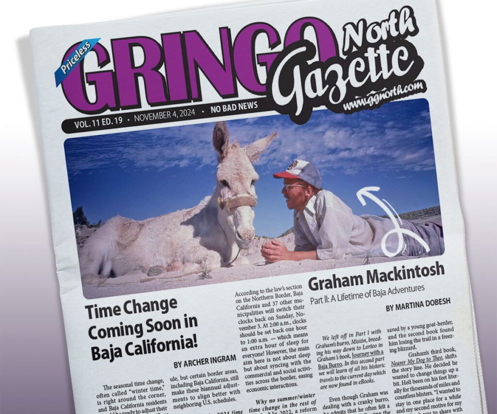 November 4, 2024 Edition