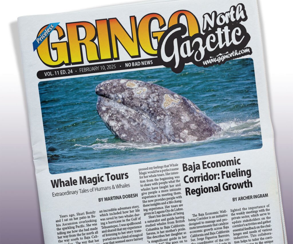 February 10, 2025 Edition