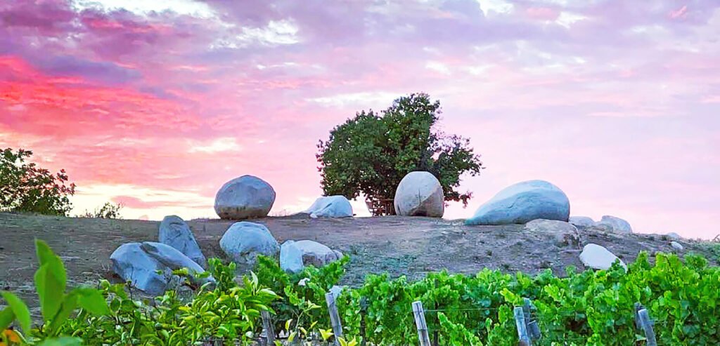 Easter in the Wine Country