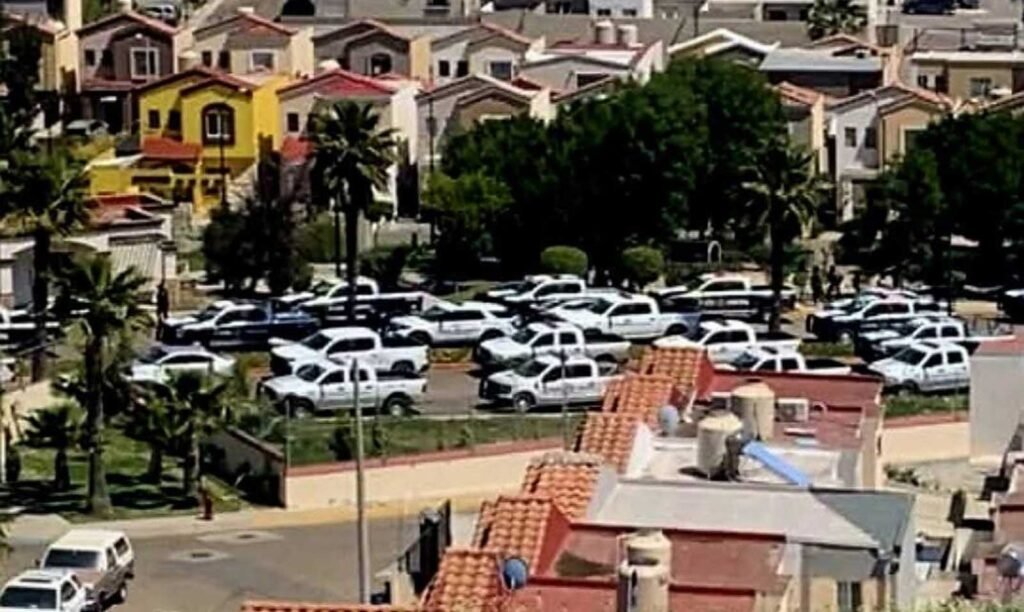 Photo courtesy of Zeta Tijuana