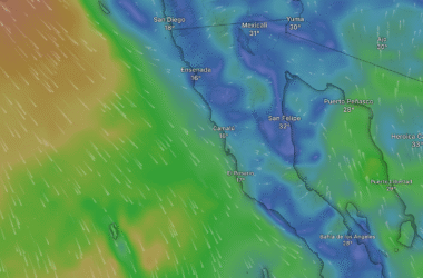 Baja in Bloom (and Fog): A Friendly Guide to June’s Weather Mood Swings