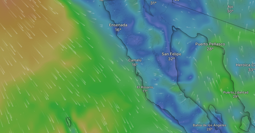 Baja in Bloom (and Fog): A Friendly Guide to June’s Weather Mood Swings