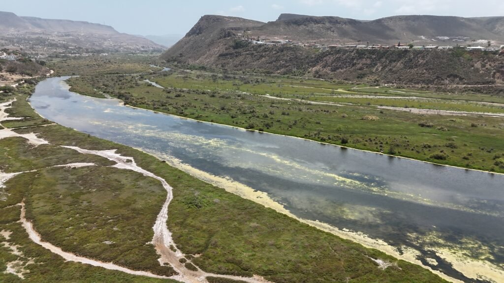 Estero La Misión: Where Nature, History, and Drought Collide