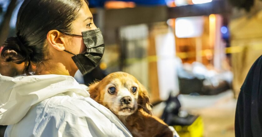 Trapped, Sick, Forgotten: Ensenada’s 300 Dogs Find Hope